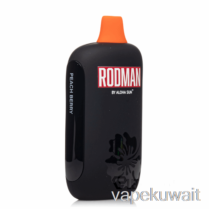 رودمان 9100 نظام Vape Vape القابل للتصرف Peach Berry